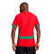 Puma Morocco Africa Cup 2025 Home Jersey