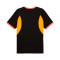 Dres Puma Individualliga Graphic Jersey