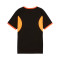 Camisola Puma Individualliga Graphic Jersey Jr