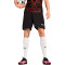 Puma Individualliga Training Shorts 2 Shorts