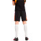 Puma Individualliga Training Shorts 2 Shorts