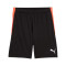 Calções Puma Individualliga Training Shorts 2