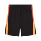 Calções Puma Individualliga Training Shorts 2