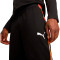 Puma Individualliga Training Pants Lange Hosen