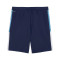 Puma Individualliga Training Shorts 2 (Open Pockets) Shorts