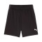 Puma Kids Individualliga Training Shorts