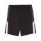 Puma Kinder Individualliga Training Shorts