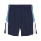 Pantalón corto Puma Individualliga Training Shorts 2 Jr (Open Pockets)