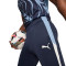 Puma Individualliga Training  Trousers