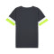 Camiseta Puma Individual Rise