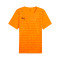 Puma Individualrise Graphic Jersey T-Shirt