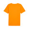 Camiseta Puma Individualrise Graphic Jersey