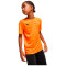 Puma Individualrise Graphic Jersey Niño T-Shirt