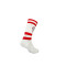 Memoraball Socks Sl Benfica 1904 Socks