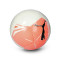 Bola Puma Puma Big Cat Ball