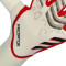 adidas Predator Pro Hybrid Handschoen