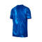 Nike Chelsea FC 2024-2025 Heim Trikot