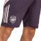 Calções adidas Arsenal FC Training 2024-2025