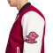 Chaqueta adidas Ajax Fanswear 2024-2025