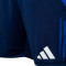 adidas Real Zaragoza Training 2024-2025 Players Shorts