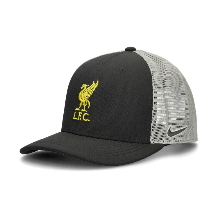 gorra-nike-liverpool-fc-2024-2025-dark-some-frey-0