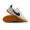 Nike Street Gato Futsal shoes