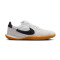 Nike Street Gato Futsal shoes