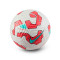 Pallone Nike Academy Plus