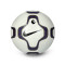 Nike Premier League Erbe 2024-2025 Ball