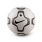 Nike Premier League Erbe 2024-2025 Ball