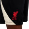 Short Nike Liverpool FC Training 2024-2025