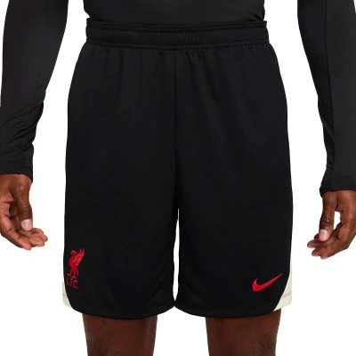 Liverpool FC 2024-2025 Training Shorts