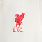 Nike Kinderen Liverpool FC 2024-2025 Training Shirt