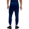 Nike PSG 2024-2025 Fourth Trousers