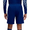 Nike PSG 2024-2025 Fourth Shorts