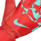 Guantes Nike Match