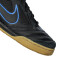 Zapatilla Nike Gato