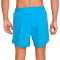 Nike Dri-FIT Challenger Shorts