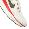 Zapatilla Nike Air Pegasus 41 Mujer