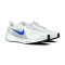 Nike Air Zoom Pegasus 41 Running shoes