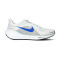 Nike Air Zoom Pegasus 41 Running shoes