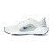 Nike Air Zoom Pegasus 41 Running shoes