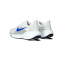 Nike Air Zoom Pegasus 41 Running shoes