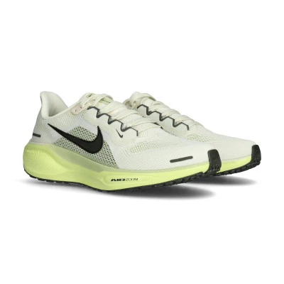 Tenis Air Pegasus 41