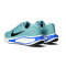 Zapatilla Nike Nike Journey Run