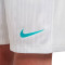 Nike Kids Academy Essentials Shorts