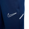 Nike Academy 25 Niño Trousers