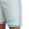 Nike Kinder Akademie Shorts