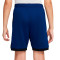 Nike Academy 25 Niño Shorts