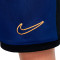 Nike Academy 25 Niño Shorts